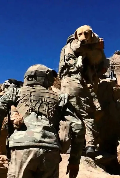 Komandolar teröristlerin inlerine girdi