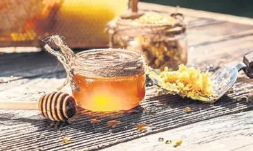 Burhaniye’de bal mesaisi