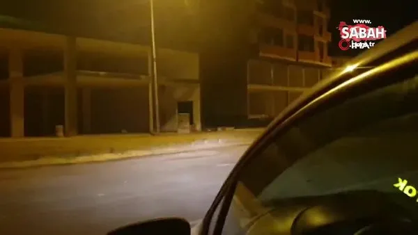 Ardahan'da şehre inen aç kurt böyle görüntülendi | Video