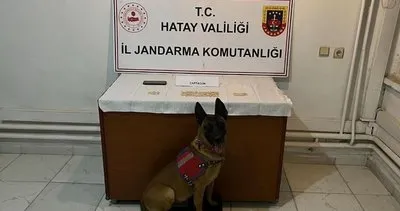 Jandarma zehir tacirini yakaladı