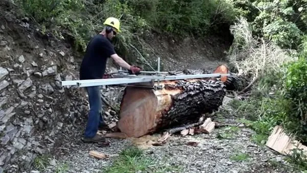 Ağaçtan yaptığı şeye bakın!