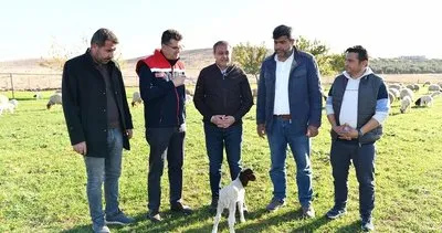 Vali Şıldak üretici buluşmaları devam ediyor #sanliurfa