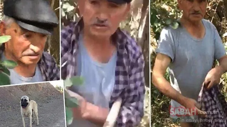 Son Dakika Haberi: Sivas’ta 75 yaşındaki adam köpeğe tecavüz ederken yakalanmıştı! O sözleri kan dondurdu!