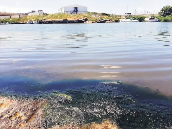 Bakanlık harekete geçti! Riva’yı katleden İSKİ’ye ceza kesildi...