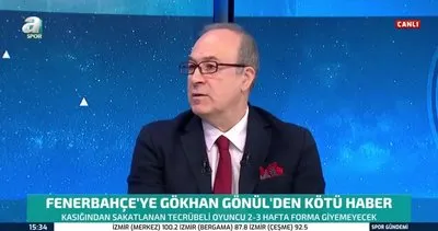 Haldun Domaç: Gökhan Gönül 45 maçlık periyodu kaldıramaz