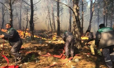 Antalya’da orman yangını korkuttu