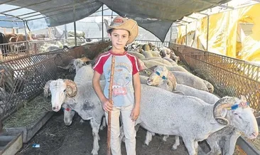 Kurban pazarının küçük kovboyu
