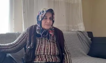 Kokarca evlere dadandı:
