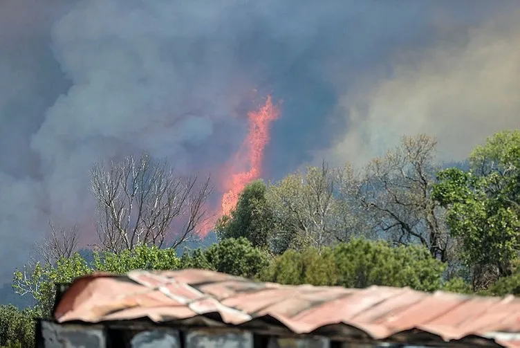 Çanakkale’de alevlerle mücadele aralıksız sürüyor! Bakan Yumaklı duyurdu: O bölgede yangın kontrol altında