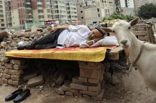 Dünyadan günün fotoğrafları (14 Ağustos 2012)