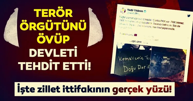 HDP’li Nadir Yıldırım’dan skandal paylaşım: Çaresiz olmadık çünkü PKK var!