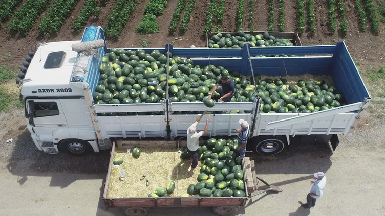 6 yıl oldu! Hal yasası neden çıkmıyor? Berat Albayrak döneminde bu işin reçetesi yazılmıştı
