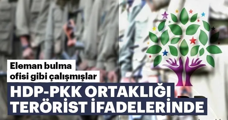 HDP-PKK ortaklığı terörist ifadelerinde