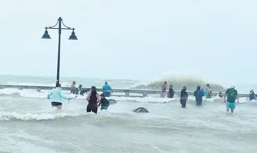 Kasırga seferberliği