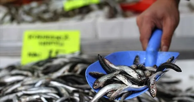 hamsi fiyatlari dustu son dakika haberler