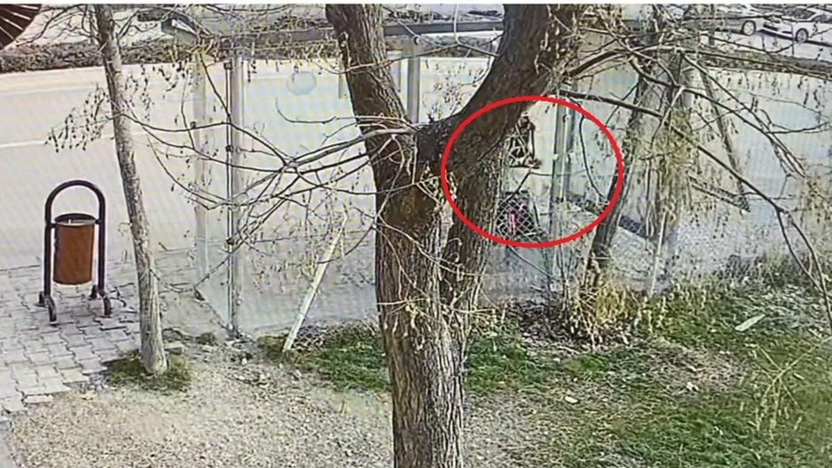 Ankara’da korkunç olay! 15 yaşındaki kız öğrenciyi bıçaklayıp gasbetti