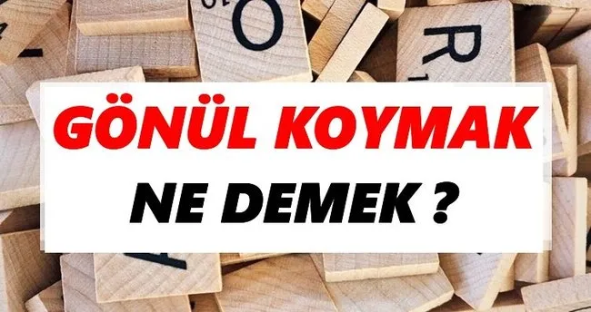 Gönül koymak Ne Demek? TDK’ya Göre Gönül koymak Sözlük Anlamı Nedir?