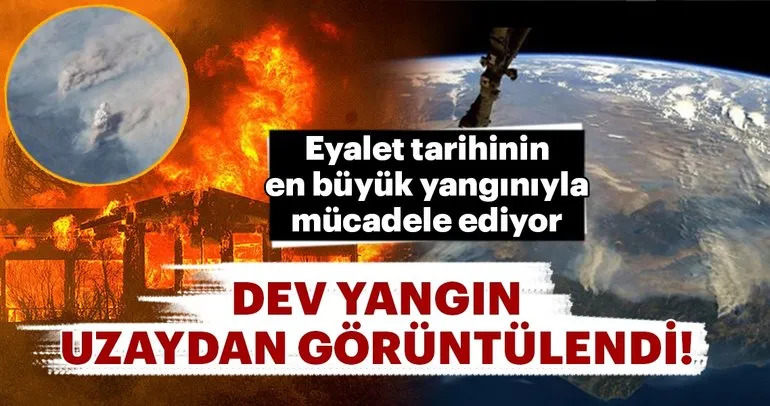 Kaliforniya eyalet tarihinin en büyük yangınıyla mücadele ediyor: 7 ölü 77