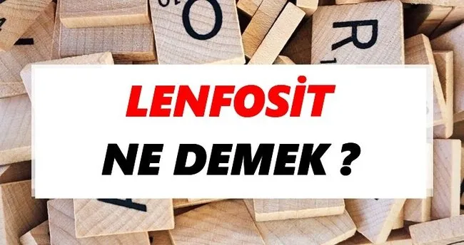 Lenfosit Ne Demek? TDK’ya Göre Lenfosit Sözlük Anlamı Nedir?