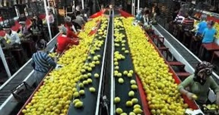 Limon ihracatı izne bağlandı