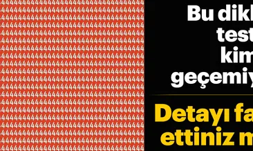 Bu dikkat testini kimse geçemiyor