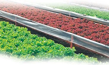 Akıllı tarıma 2.4 milyon TL yatırım