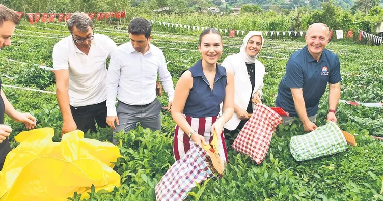 Önce çay topladı, sonra horon oynadı!