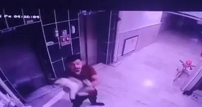 Hamile kediyi önce kameralara gösterdi ardından yere fırlattı #konya