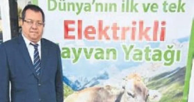 Hayvanlara özel elektrikli yatak