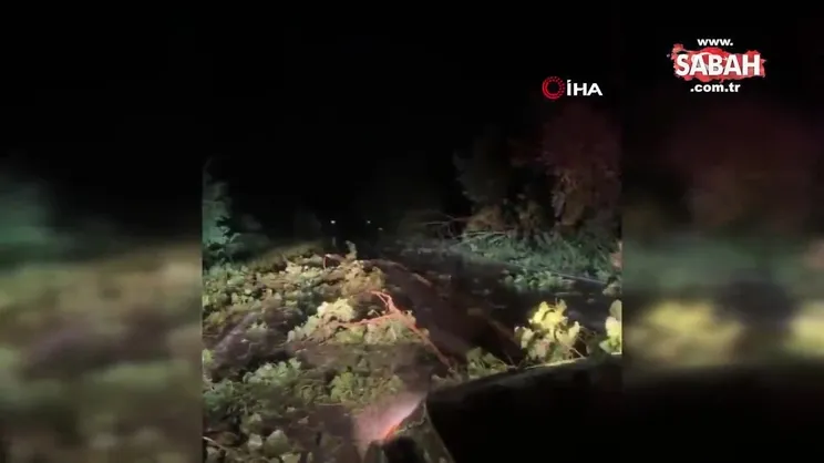 ABD’de şiddetli fırtına: 5 ölü | Video