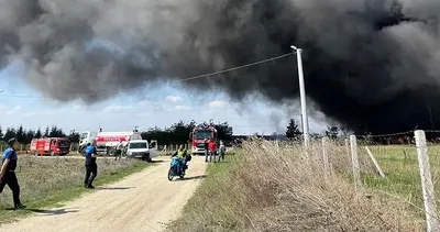 Şarköy’de anız yangını ormana sıçradı: 180 dekar alan zarar gördü #tekirdag