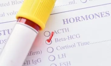 5 haftalık gebelikte beta HCG değeri kaç olur? Beta hCG testi nedir, 5 haftalık gebelikte kaç çıkar?