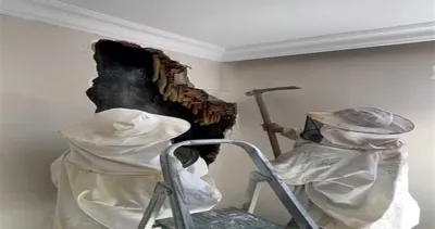 Avcılar’da yıkımı gerçekleşecek binanın duvarından servet çıktı: Görenler şoke oldu...