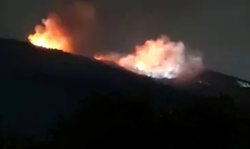 Bulgaristan’daki yangın komşuya sıçradı