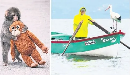 Ruh halimiz nereye gidiyor? – FUNDA KARAYEL