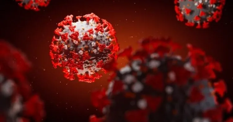 Koronavirüsün kökeni belli oldu! 20 bin yıldır görülüyor…