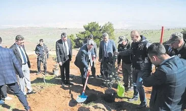Ormanlık alanı yükümlüler yeşertecek