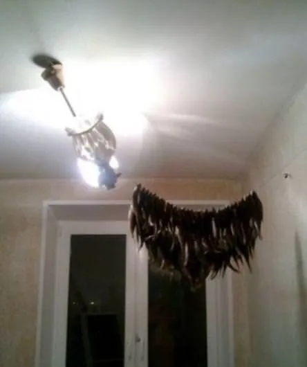 Rusya'dan Sevgilerle