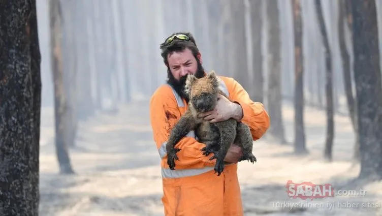 SON DAKİKA! Avustralya’daki yangın faciası için Hükümet Sözcüsü Ömer Çelik’ten flaş çağrı! Develerin ardından atları da…