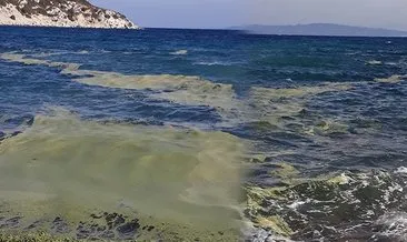 Sonunda deniz küstü... İç körfezden sonra şimdi de Karaburun! #izmir Sonunda deniz küstü... İç körfezden sonra şimdi de Karaburun! #izmir