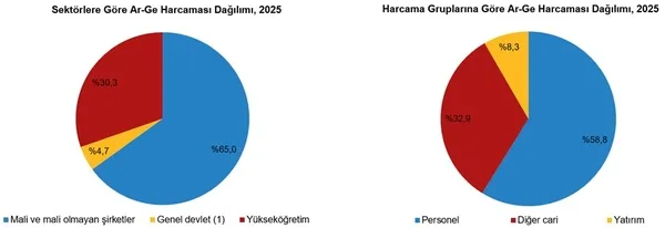 turkiyenin-ar-ge-harcamasi-980-milyar-lirayi-asti-istanbul-ve-ankara-one-cikti-1793345242617.jpg