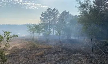 Silivri’de çıkan orman yangını kontrol altına alındı