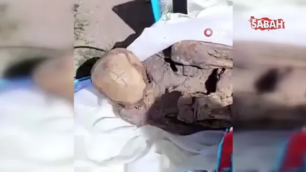 Peru’da eski kuryenin çantasından mumya çıktı | Video