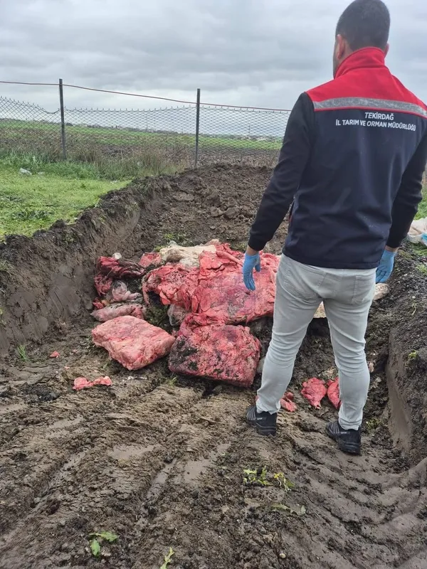 tekirdagda-gida-skandali-onlendi-1-ton-les-gibi-sakatat-imha-edildi-1765124571015.jpg