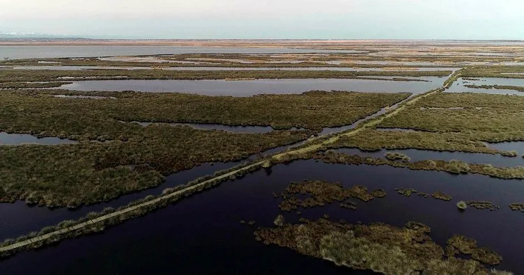 Kızılırmak Deltası Kesin korunacak hassas alan ilan edilecek