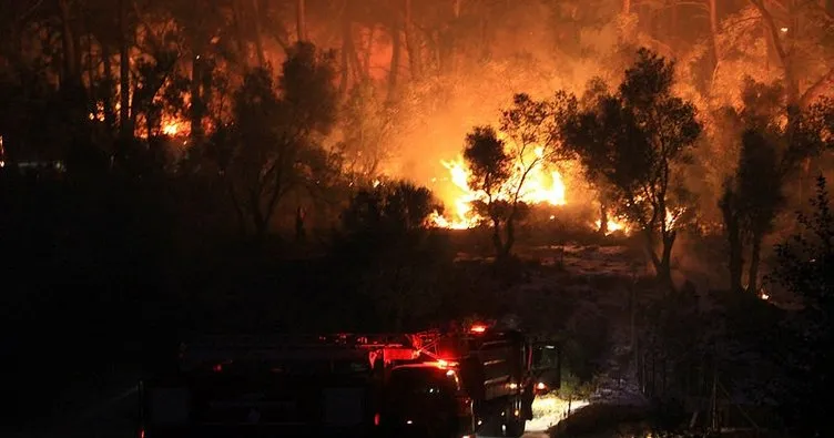 Aydın’da makilik alanda yangın: 12 hektar kül oldu