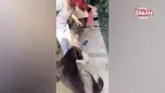 Fenomen Banu Parlak’ın köpeği dehşet saçtı | Video