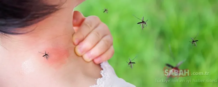 Arı-böcek ve sivrisinek sokmalarına karşı alınması gereken 10 önlem!