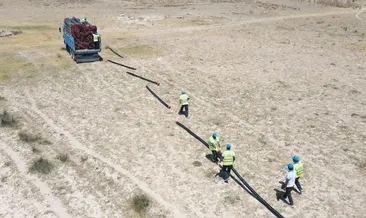 Flamingolara can suyu