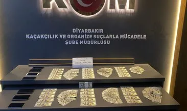 Diyarbakır’da FETÖ operasyonu